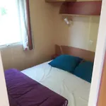 Du 4*